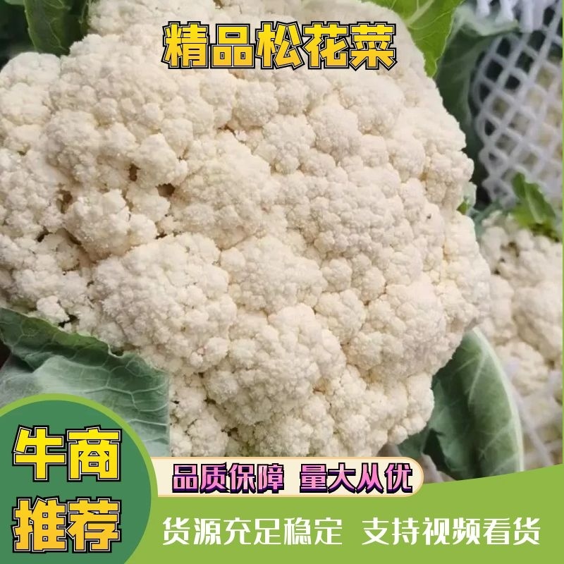 【松花菜】开封通许花菜产地发货品质保障新鲜采摘来电优惠