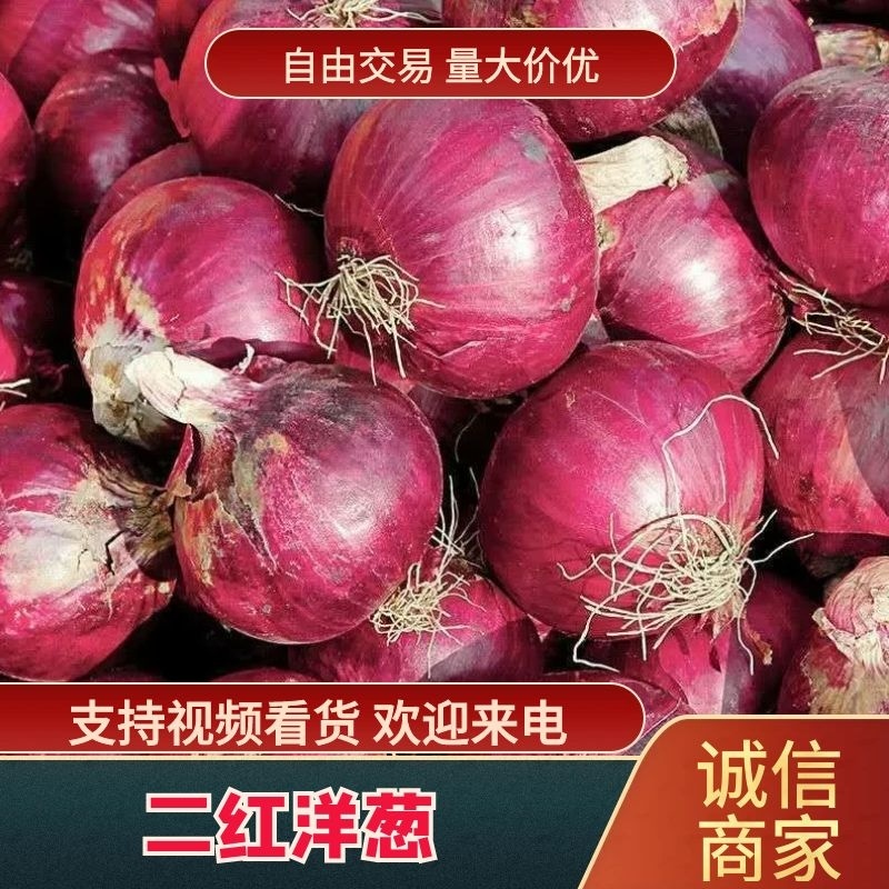 洋葱/二红洋葱通许精品洋葱产地直供代发全国来电优惠