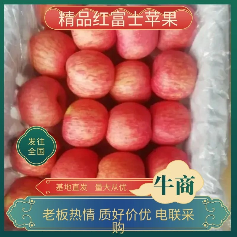 陕西纸袋红富士冰糖心苹果红富士苹果产地价格