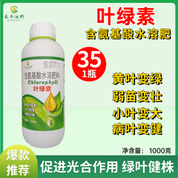 叶绿素氨基酸农肥叶面肥提苗壮棵增绿增厚含氨基酸水溶肥