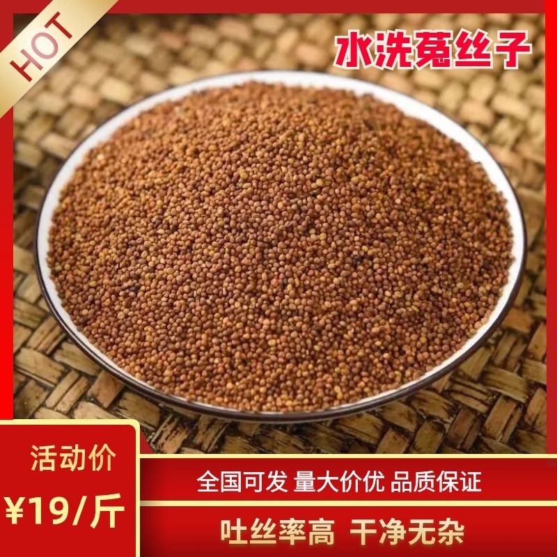 【菟丝子】内蒙水洗菟丝子中药材批发零售无杂质泡茶泡酒