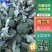【西兰花】精品优秀西兰花大量上市花球绿小米粒