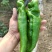河南商丘夏邑产地301辣椒大量有货保质保量