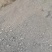 【热卖】发酵鸡粪货源充足产地直供欢迎各位老板采购