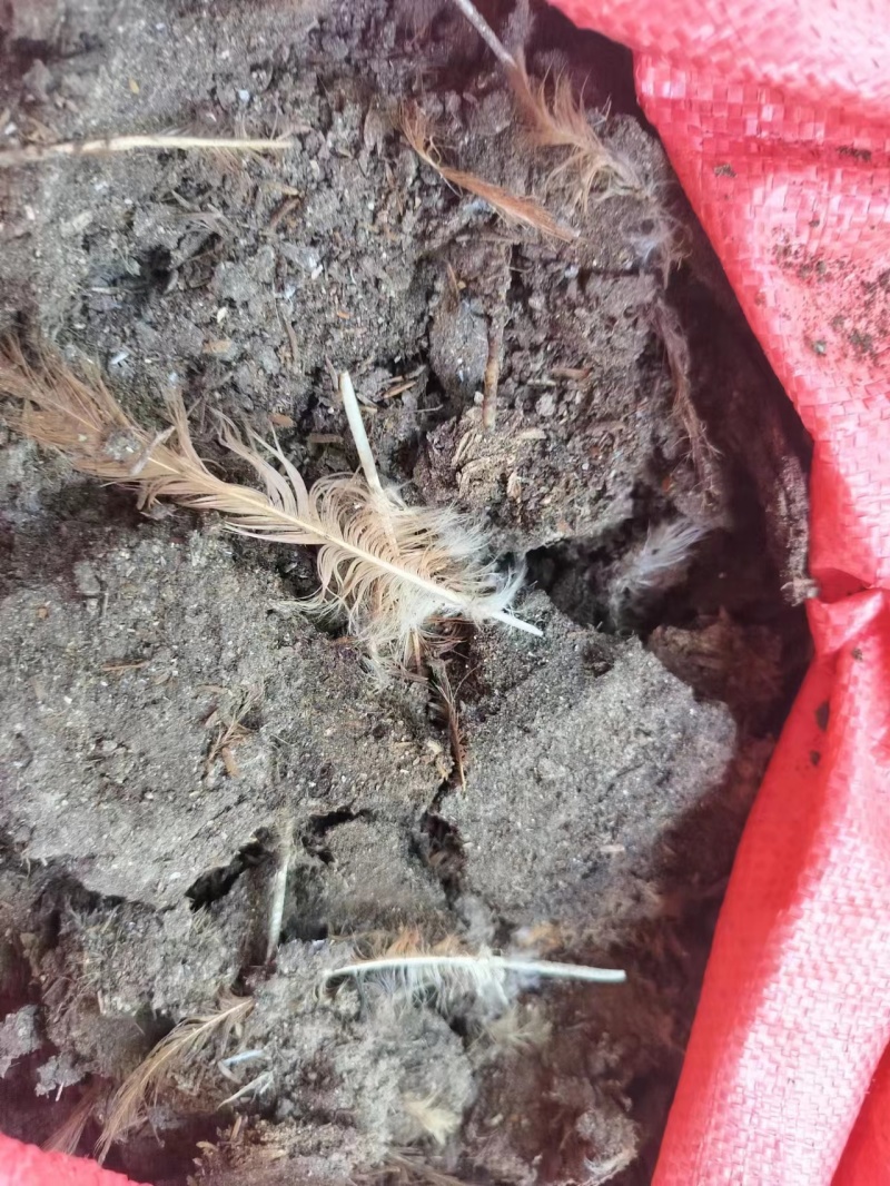 【推荐】干鸡粪，合适各种瓜果蔬菜货源充足