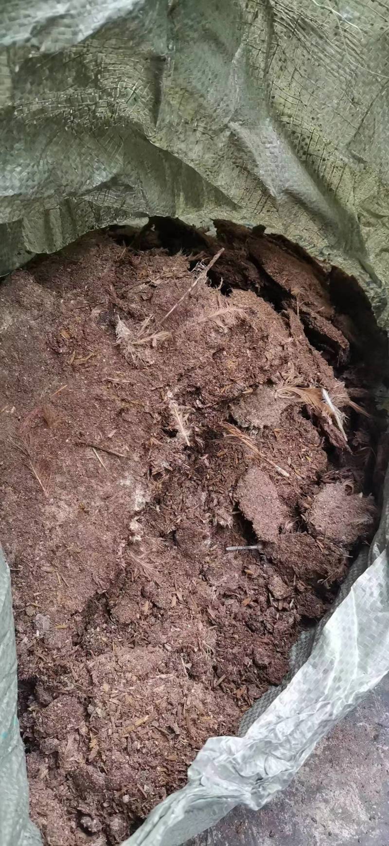 【推荐】干鸡粪，合适各种瓜果蔬菜货源充足