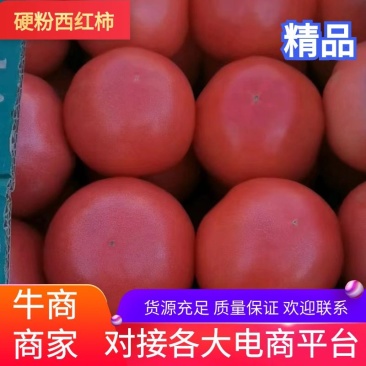 西红柿番茄产地大量有货质好价优，欢迎新老顾客光临