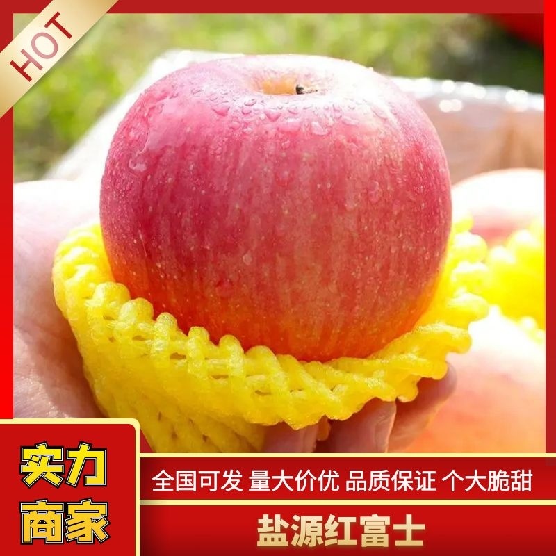 【精选苹果】盐源红富士糖心苹果产地直供一件代发代办