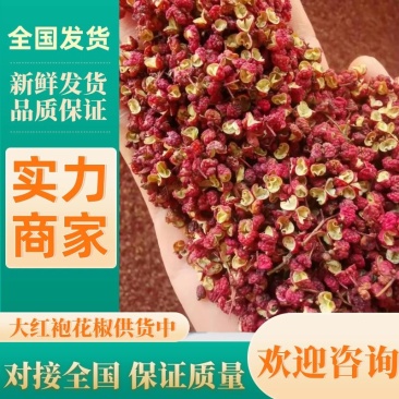 【实图】韩城大红袍花椒，色泽好颗粒大，一手供应对接各大渠道