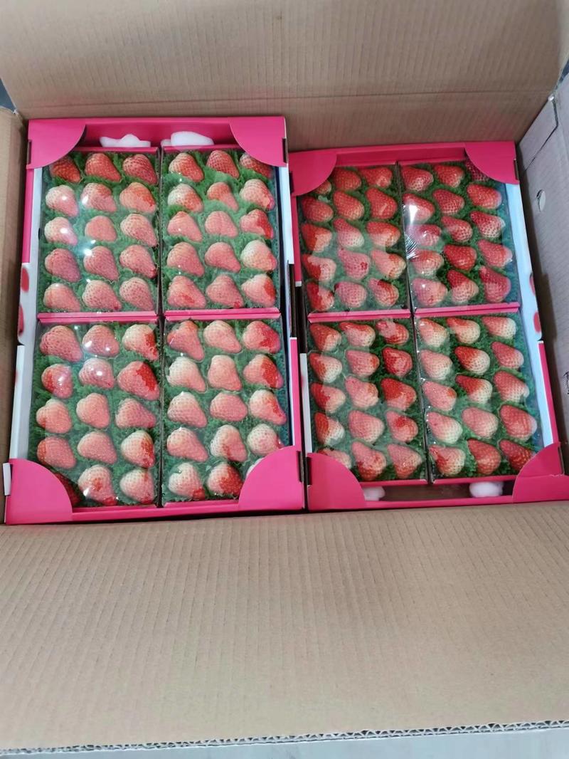 丹东99草莓红颜草莓产地货源价格优惠来电选购可一件代发