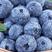 辽宁精品蓝莓批发零售可一件代发定制规格全国发货