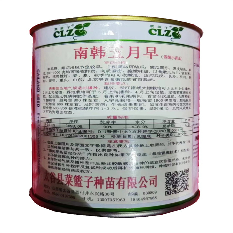 青皮一串玲小青瓜种子南韩五月早贵阳菜瓜种子中早熟菜南瓜种