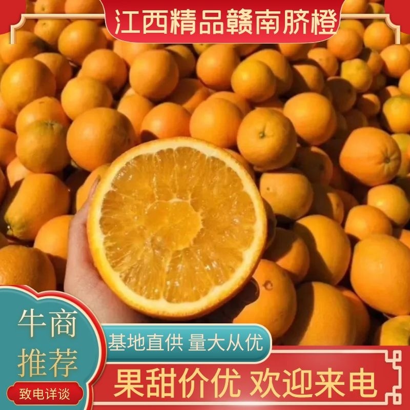 赣南脐橙江西赣州安远脐橙果园直采承接电商微商一件代发