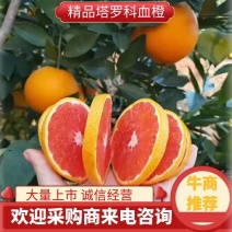 血橙塔罗科血橙赣南脐橙/血橙承接电商社团代收代发
