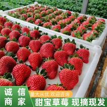 【草莓】山东甜宝草莓大量上市现摘现发对接各大市场商超