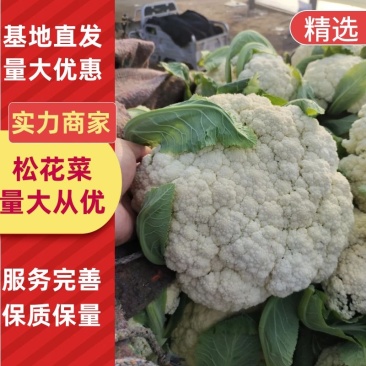 松花菜安徽砀山松花菜产地直供质量好价格低量大优惠