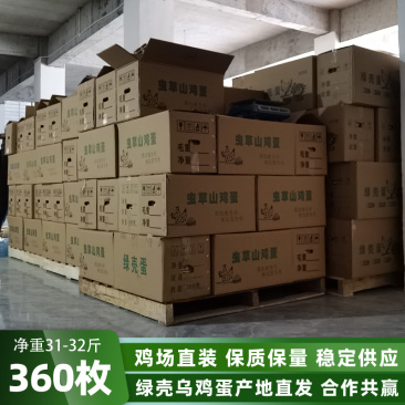 绿壳乌鸡蛋360/箱净重31-32斤农家绿壳蛋