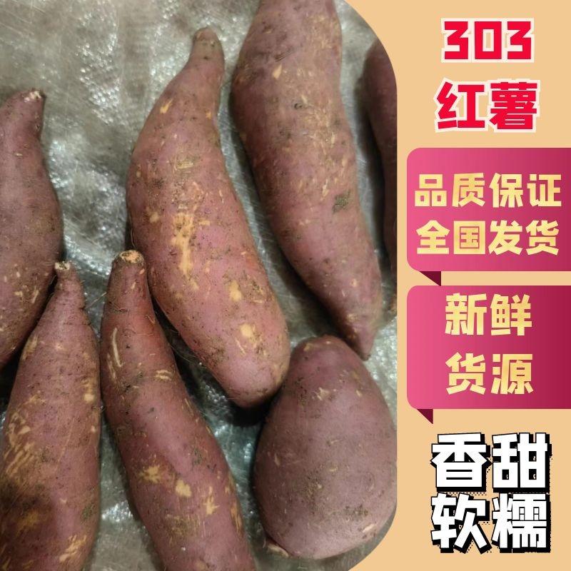 安徽滁州精品303红薯，品质保证支持视频看货，欢迎选购