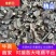 鬼箭羽特级优品供应厂家直发，无任何差价，售后保障