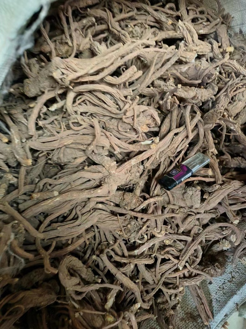 肉独活甘肃平凉华亭市肉独活量大优惠质量保证欢迎选