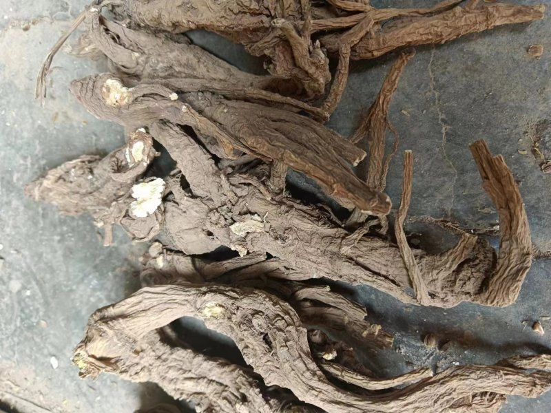 肉独活甘肃平凉华亭市肉独活量大优惠质量保证欢迎选