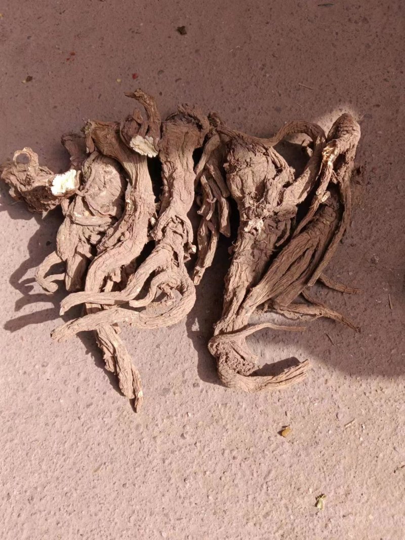 肉独活甘肃平凉华亭市肉独活量大优惠质量保证欢迎选