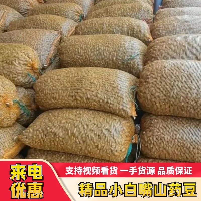 《产地直供》精选优质小白嘴山药豆上对接商超酒店电商团购