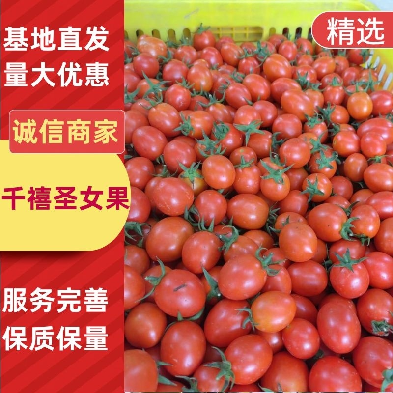 千喜，圣女果-千禧圣女果白色主产地，量大主要接社区团购