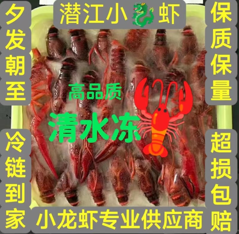 小龙虾清水冻虾，冻虾，清水冻虾，小龙虾冻虾