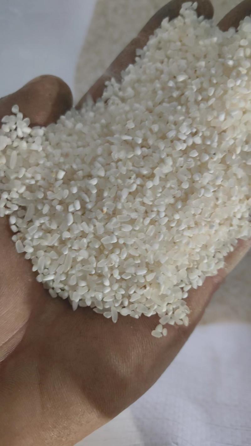 东北长粒香大米抛光碎米中科发五可做粥米可以酿酒