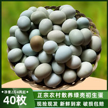 【一件代发】40枚小规格电商代发绿壳乌鸡蛋农家散养土鸡蛋