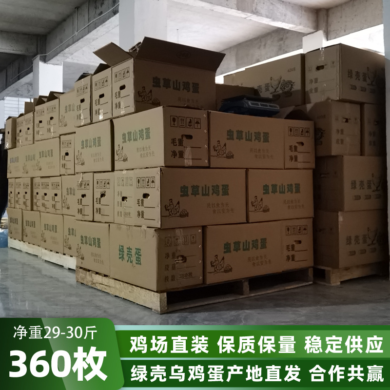 绿壳乌鸡蛋360/箱净重29-30斤农家绿壳蛋