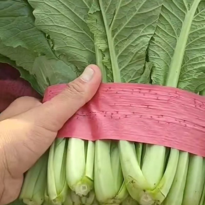 小白菜江苏大棚小白菜货源充足可对接全国商超采购需要的联系