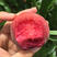 胭脂红桃苗根系发达现挖现发可以实地考察签合同