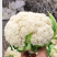【好货】山东菏泽有机花菜松花菜批发商大型超市社区团购