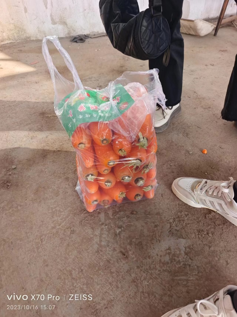 【河南】三红胡萝卜水洗胡萝卜品质保证对接全国基地直发
