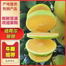 江西赣州精品纽荷尔脐橙，产地直供，品质保证支持视频