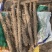 【专注电商】麻山药，棒山药，紫药双棒产地货源直发欢迎采购