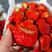 长丰红颜奶油草莓大量上市！一手货源！产地供应！保质保量！