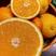 赣南脐橙果园直发市场商超团购电商平台来电优惠