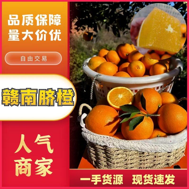 【包邮】赣南脐橙自家果园直发一件代发电商平台进店选购