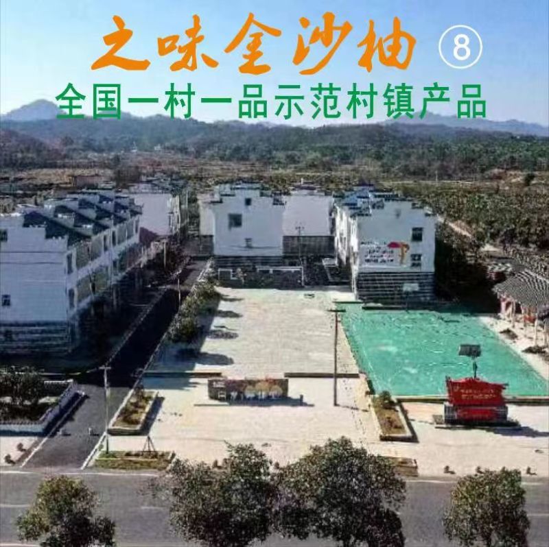 《一件代发》精品金沙柚口感纯甜水分足可大量供货欢迎咨询