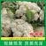浙江温州菜花松花菜有机花菜质量好价格低随行就市