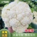 【好货】山东菏泽有机花菜松花菜批发商大型超市社区团购