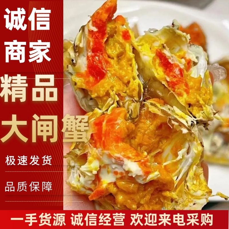 湖北）大闸蟹产地货源品质保证货源充足稳定（下单请先咨询）
