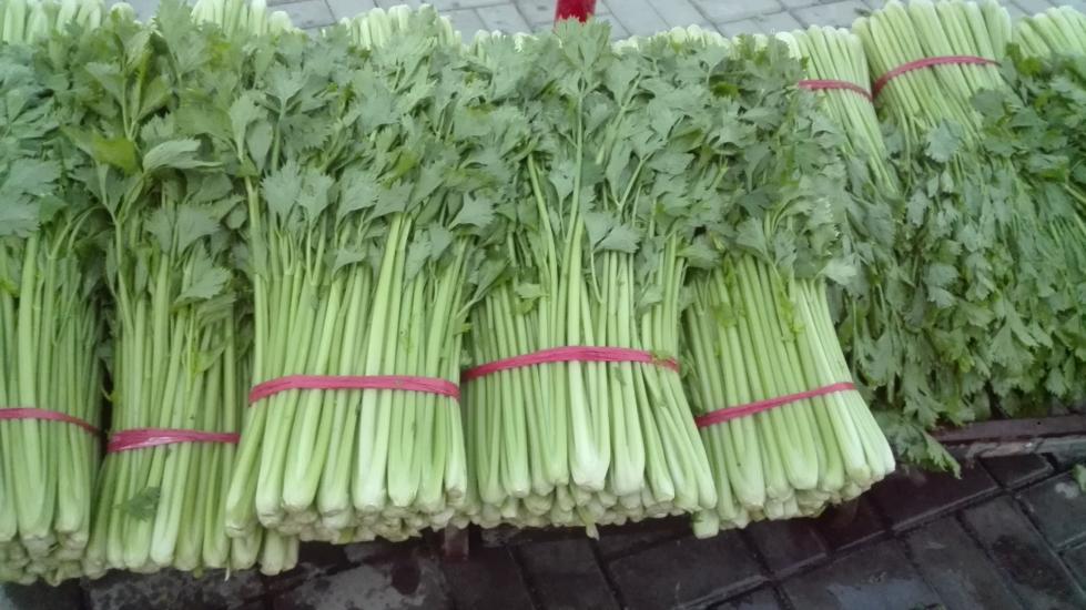 一碗色彩丰富的蔬菜沙拉,顶部撒有切碎的新鲜香芹,增添视觉美感和风味层次 香芹用于沙拉装饰的效果图