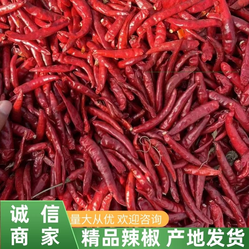 小米辣辣椒干辣椒辽宁锦州直供对接全国欢迎咨询下单