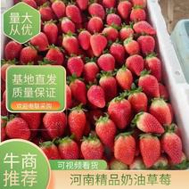 精品贵妃奶油草莓大量上市品质保证一手货源量大从优