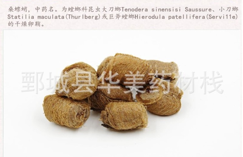 桑螵蛸1000克【华美中药材】批发供应中蒸熟大个桑螵