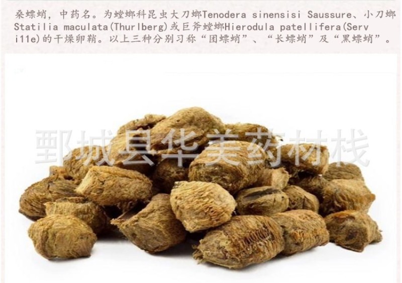 桑螵蛸1000克【华美中药材】批发供应中蒸熟大个桑螵